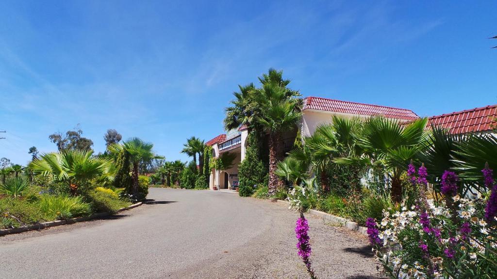 El Sierra Motel Barooga Zewnętrze zdjęcie